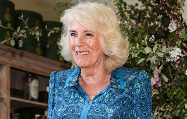 Camilla's 'hidden show of support' to Kate in latest outing