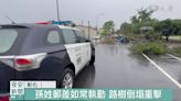 大雨路樹倒！彰化郵差執勤途中殉職