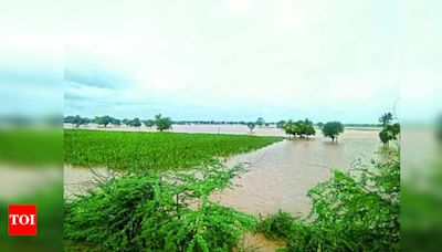 NK Residents Fear 2019 Flood Repeat Due to Heavy Rain | Hubballi News - Times of India