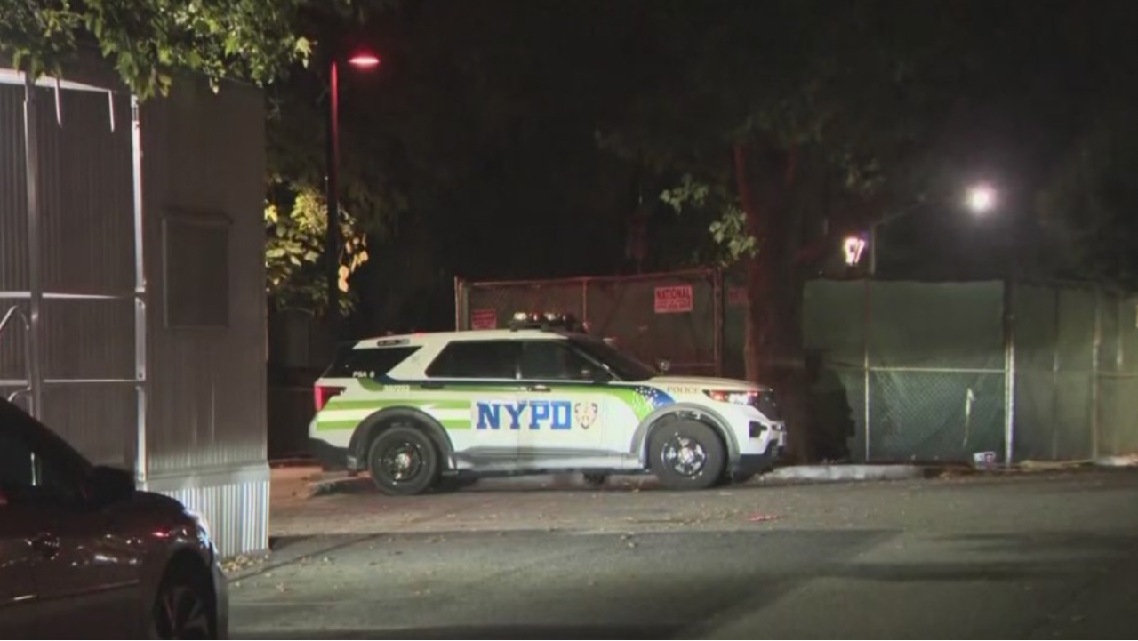 Teen sexually assaulted while tossing trash at Bronx building: NYPD