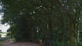 Horror as schoolgirl, 13, is dragged into woods & sexually assaulted