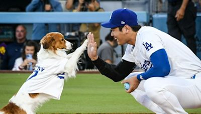 大谷翔平是真MVP？ | 編輯精選 - 灼見名家