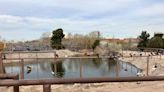 Parque Central de Ciudad Juárez: abandonado, con un lago contaminado y con pendientes por resolver