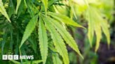 Middlesbrough cannabis farmer 'paying people smuggler debt'