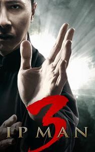 Ip Man 3