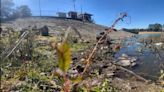 Cutzamala a un paso del Día Cero, sólo tiene 28% de llenado de agua; lleva 8 meses a la baja