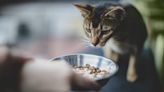 PetSmart Simply Nourish: Has the Cat Food Brand Issued a Recall in 2024?