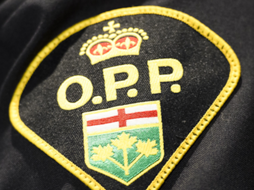Gatineau driver facing charges after driving with dangerous speed on Hwy. 417: Ottawa OPP