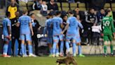 Raccoon on field stops play in MLS game. How stadium workers corralled and safely released it.