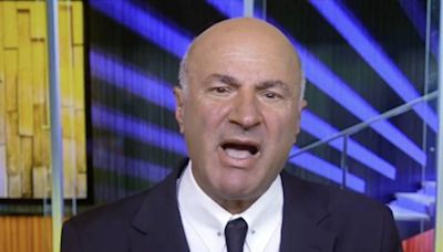 Kevin O’Leary blasts Harris’s $25K homebuyer assistance — warns it’s ‘helicopter money’ fueling inflation