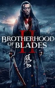 Brotherhood of Blades II: The Infernal Battlefield