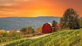 The 5 US states with the best wineries, according to a sommelier