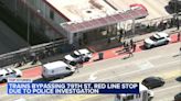 Man stabbed, critically injured near 79th Street CTA Red Line station, Chicago police say