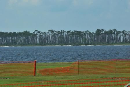 Deer Island (Mississippi)