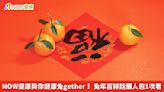 NOW健康與你健康兔gether！ 兔年吉祥話懶人包1次看