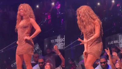 Shakira Walks Off Stage After She Sees Fan Filming Under Her Dress