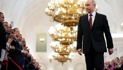 Daniel DePetris: Vladimir Putin is happy but digging big hole for Russia