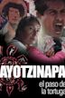 Ayotzinapa, el Paso de la Tortuga