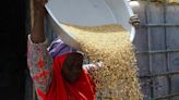 烏克蘭戰爭：俄羅斯退出黑海穀物倡議會否導致非洲糧食危機