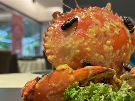 金沙螃蟹佐蟋蟀！新加坡批准昆蟲上餐桌 16種蟲蟲可食用