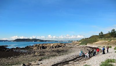 Beach cleans aren’t just good for the sea – they can boost your mental health and encourage better behaviour