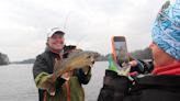 Smith: Walleyes are a hit at Wisconsin Governor's Fishing Opener in Phillips