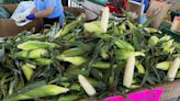 It’s Silver Queen corn season, but it can be hard to find. Where (and why) to search.