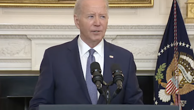 Biden to announce widespread amnesty plan for illegal immigrants