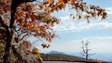 From summits to waterfalls, Shenandoah National Park is perfect for the entire family