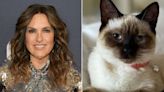 Mariska Hargitay Says She ‘Was Not a Cat Person’ Before New Kitten, Karma: ‘I Don’t Understand the Obsession’