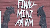 Finny Mini Farm and Sanctuary has events and volunteer opportunities throughout the summer