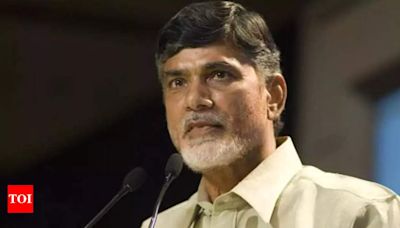 Andhra Pradesh receives substantial support in Union Budget 2024-25, says chief minister Chandrababu Naidu | Visakhapatnam News - Times of India