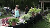 Activate Allen County invites public to fruit and vegetable plant swap on May 18th