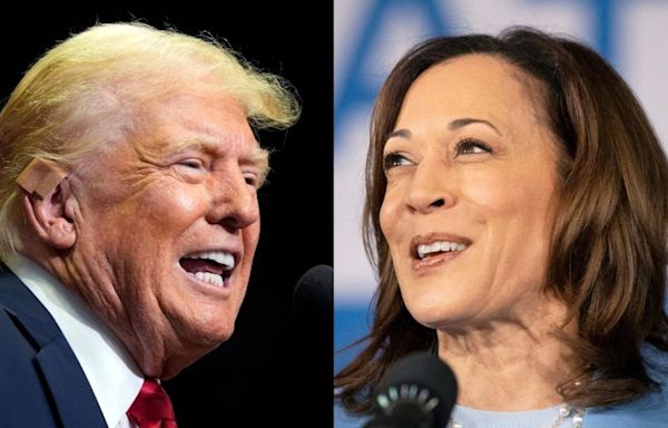 Historian who correctly predicted 9 out of last 10 presidential elections gives his take on Harris vs. Trump