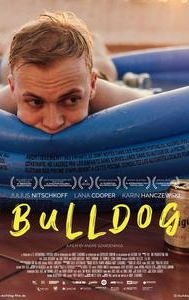 Bulldog