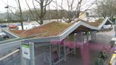 Putting green roofs on RTS bus shelters would benefit pollinators, reduce runoff