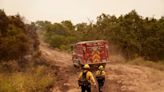 Incendio en parque al norte de California se extiende por 45,000 acres - El Diario NY