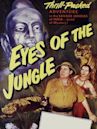 Eyes of the Jungle