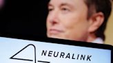 Elon Musk busca otro voluntario para seguir experimentando con sus chips cerebrales - La Opinión