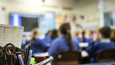 VAT on private schools would put more pressure on state sector, Tory MP says