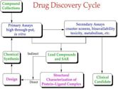 Drug discovery