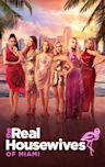 The Real Housewives of Miami - Season 5