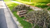 City of Madison announces brush collection information related to storms