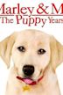 Marley & Me: The Puppy Years