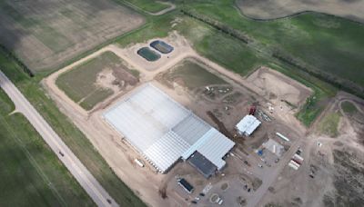 North Dakota tribe goes back to its roots with a massive greenhouse operation