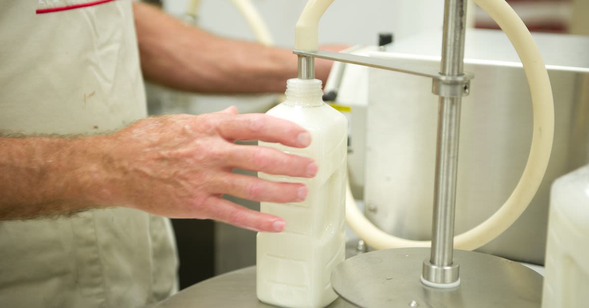 Raw milk is more dangerous than ever. So why are sales surging?
