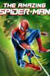 The Amazing Spider-Man (film)