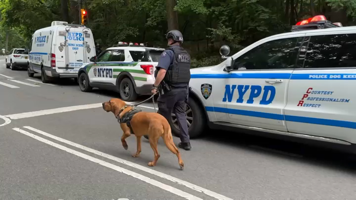 Manhunt underway for Central Park sunbather attacker