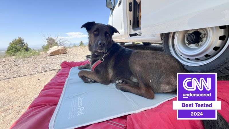 Best cooling mats and pads for dogs in 2024, tried and tested | CNN Underscored
