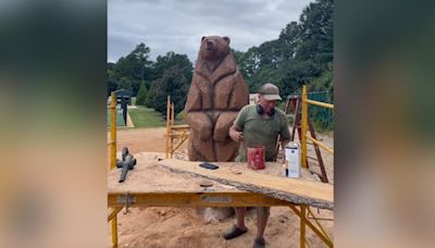Roars on the 18th: Encroaching Quail Hollow tree is carved into a large bear
